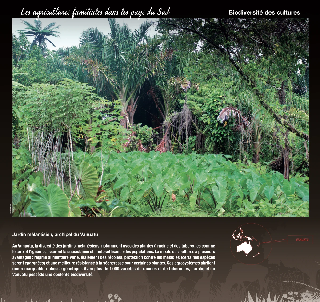 Agricultures familiales pays du Sud IRD