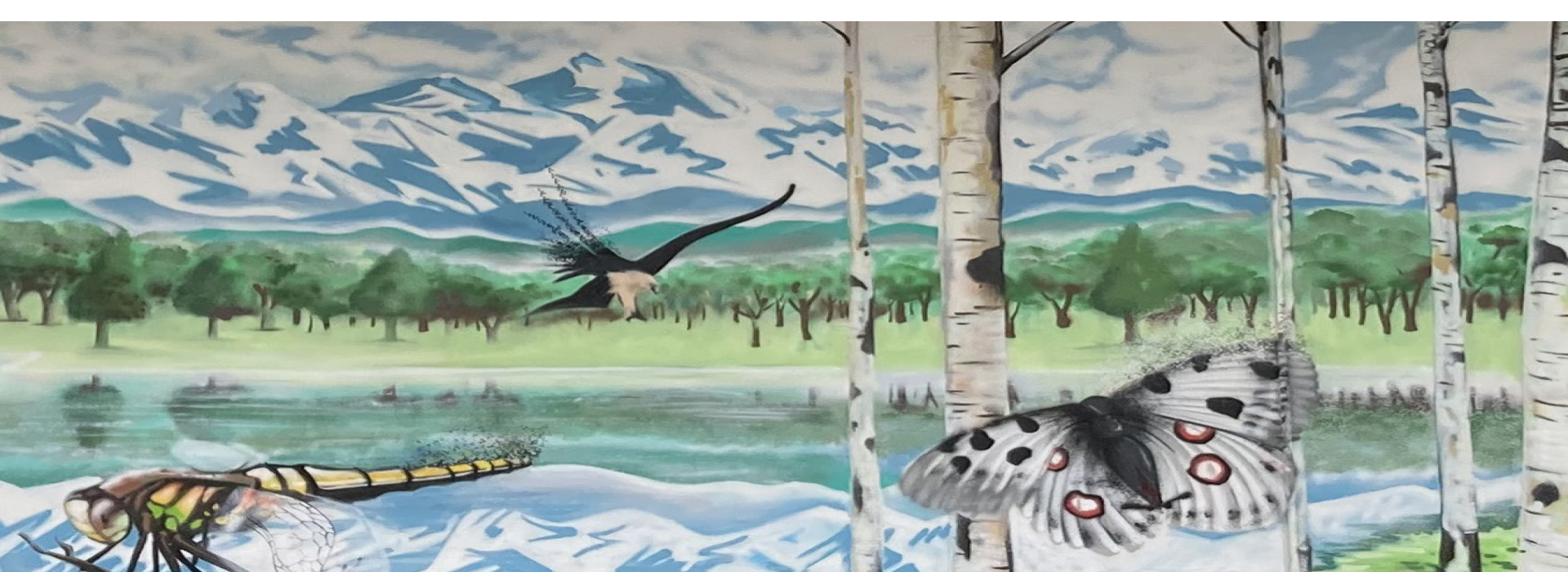 Fresque biodiversité